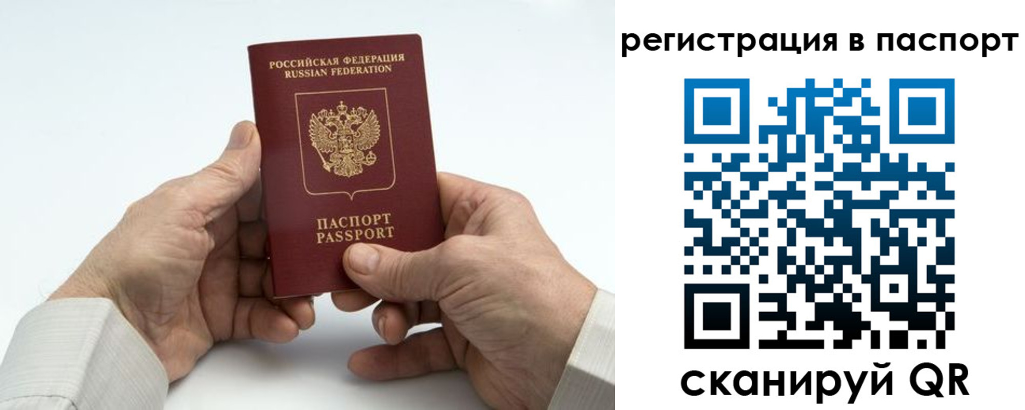 где прописаться в Нелидово